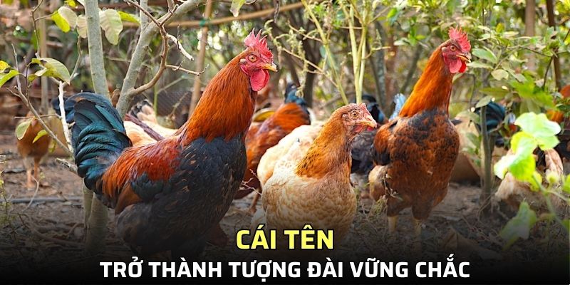 Cái tên trở thành tượng đài vững chắc