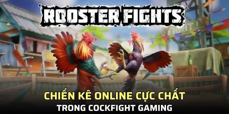 Chiến kê online cực chất trong cockfight gaming