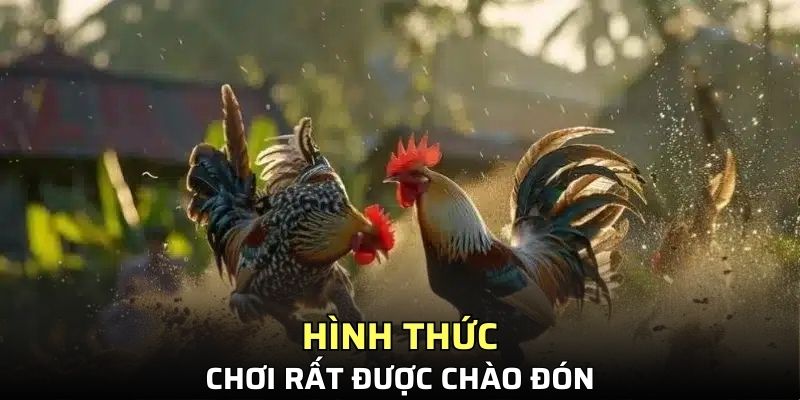 Hình thức chơi rất được chào đón