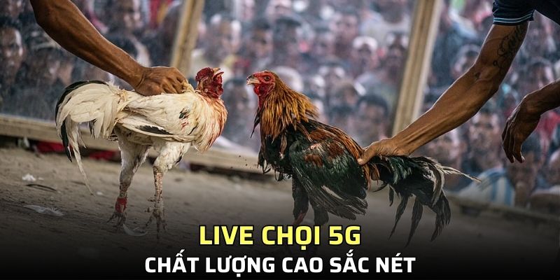 Live chọi 5G chất lượng cao sắc nét