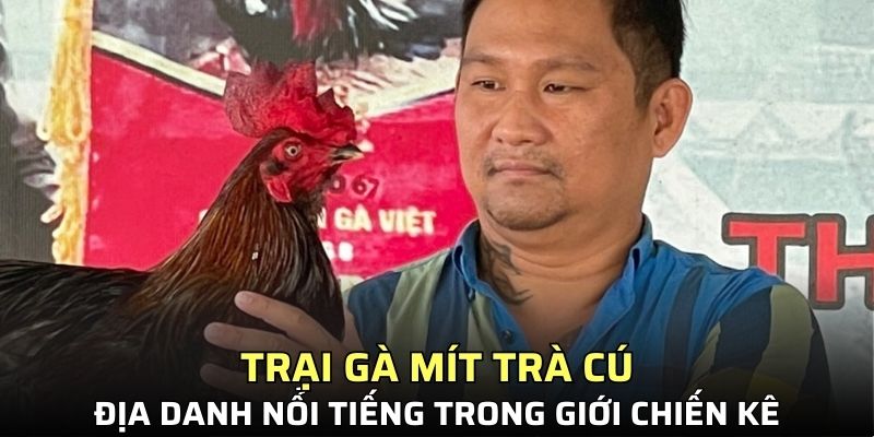 trại gà Mít Trà Cú