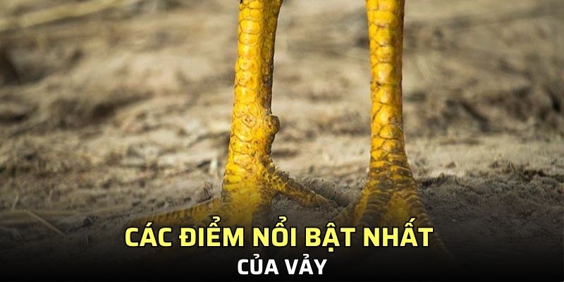 Các điểm nổi bật nhất của vảy