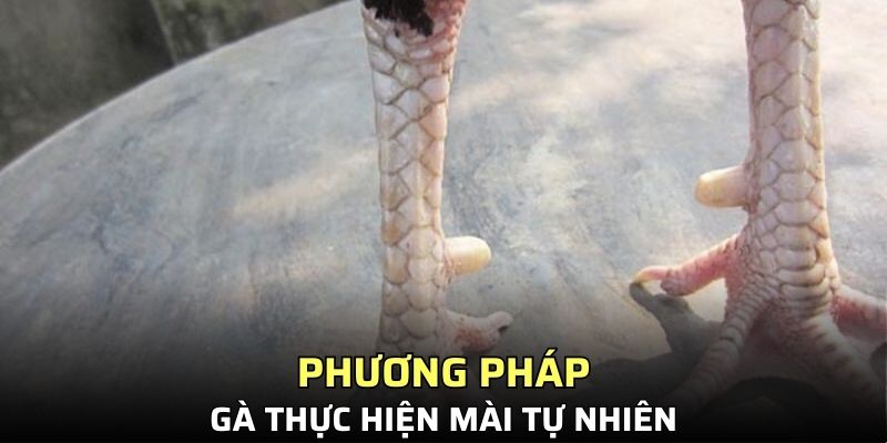Cách thức làm tự nhiên
