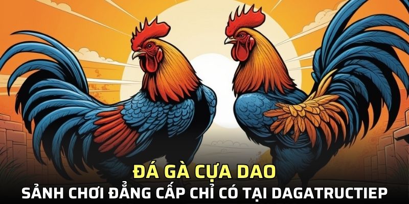 đá gà cựa dao