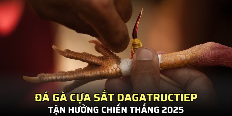 đá gà cựa sắt