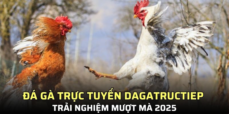 đá gà trực tuyến