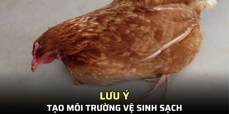 Đảm bảo được môi trường tốt