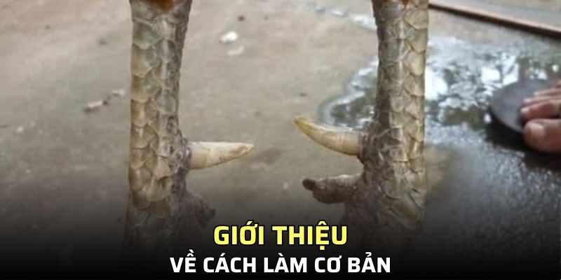 Đôi nét thông tin về cách làm