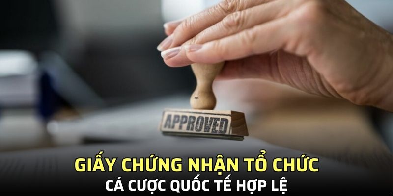 Giấy chứng nhận tổ chức cá cược quốc tế hợp lệ