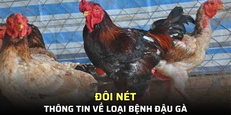 Giới thiệu thông tin về bệnh