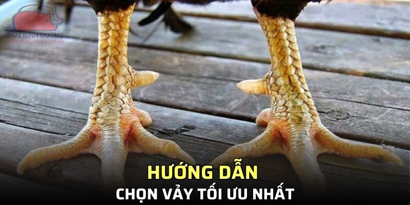 Hướng dẫn chọn vảy tối ưu nhất