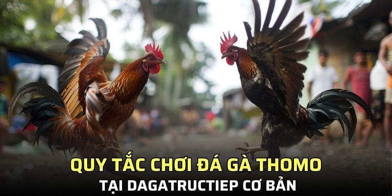 Quy tắc chơi đá gà Thomo tại Dagatructiep cơ bản
