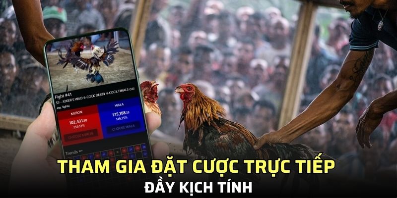 Tham gia đặt cược trực tiếp đầy kịch tính