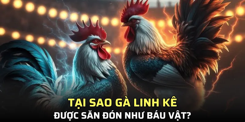 Thú nuôi yêu thích của dân sành điệu