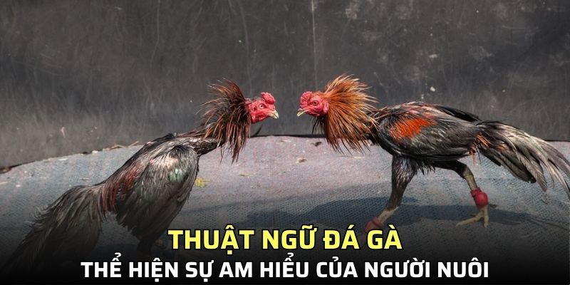 Thuật ngữ thể hiện sự am hiểu của người nuôi