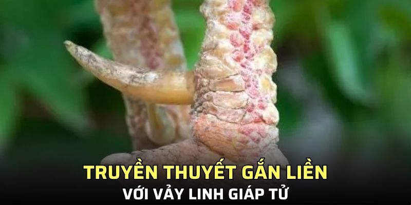 Truyền thuyết gắn liền với vảy linh giáp tử
